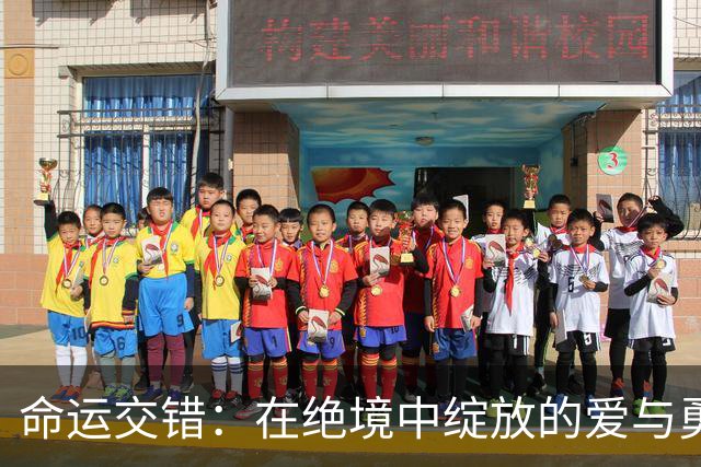 命运交错：在绝境中绽放的爱与勇气